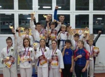 Сальские рукопашники отобрались на первенство ЮФО