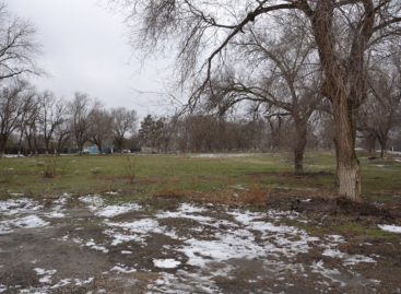 Сальчане выбрали три территории для благоустройства в ближайшие три года