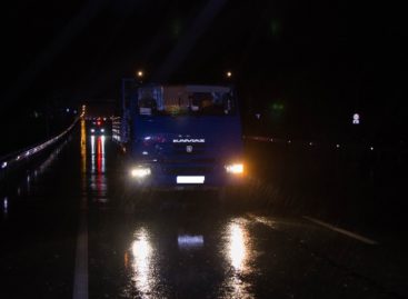 В Сальском районе насмерть сбили человека