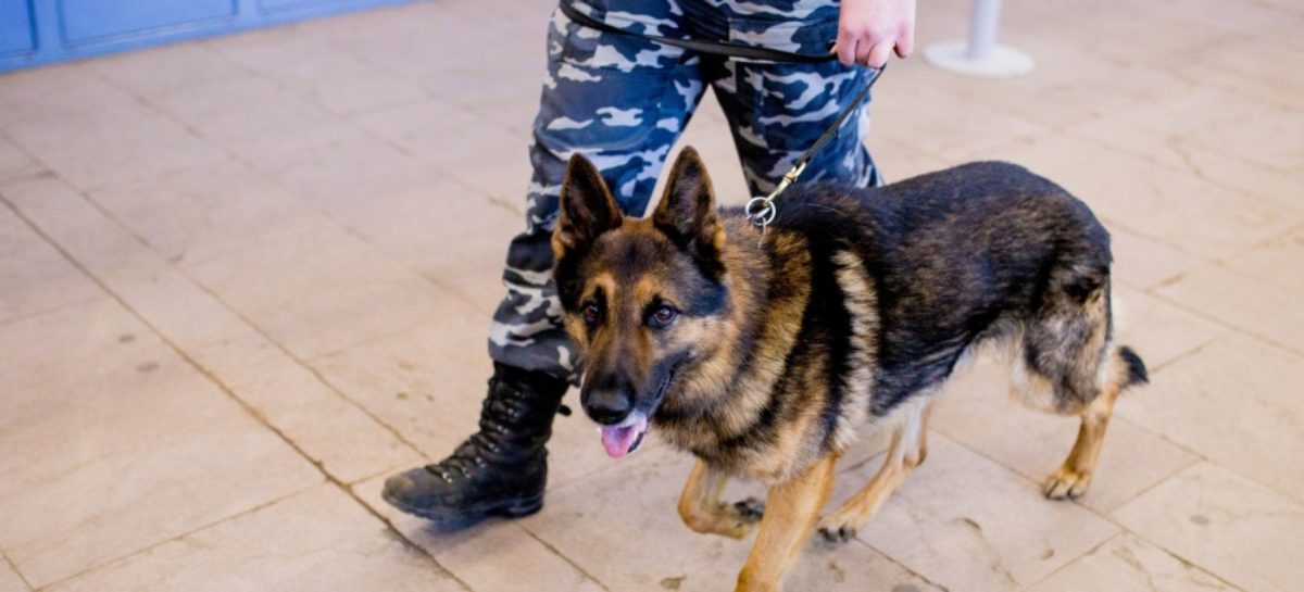 Охранник Сальского рынка обнаружил у ворот бесхозную коробку