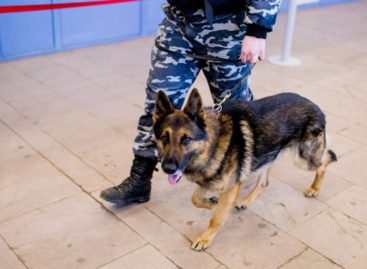 Охранник Сальского рынка обнаружил у ворот бесхозную коробку