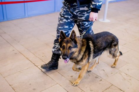 Охранник Сальского рынка обнаружил у ворот бесхозную коробку