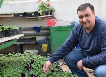 В сальском гороском парке культуры и отдыха готовятся к сезону