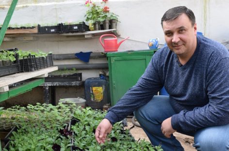 В сальском гороском парке культуры и отдыха готовятся к сезону