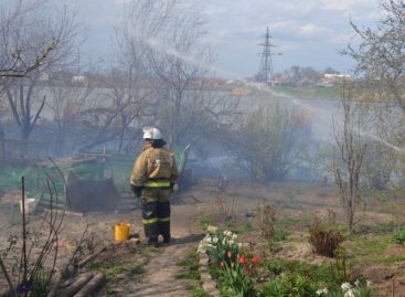 В Сальске, у реки, горел камыш