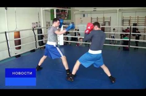 Воспитанники сальских тренеров успешно выступили на трех турнирах по боксу