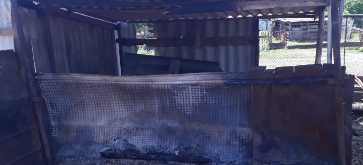 В Романовке из-за детской шалости с огнём сгорело 20 тонн сена