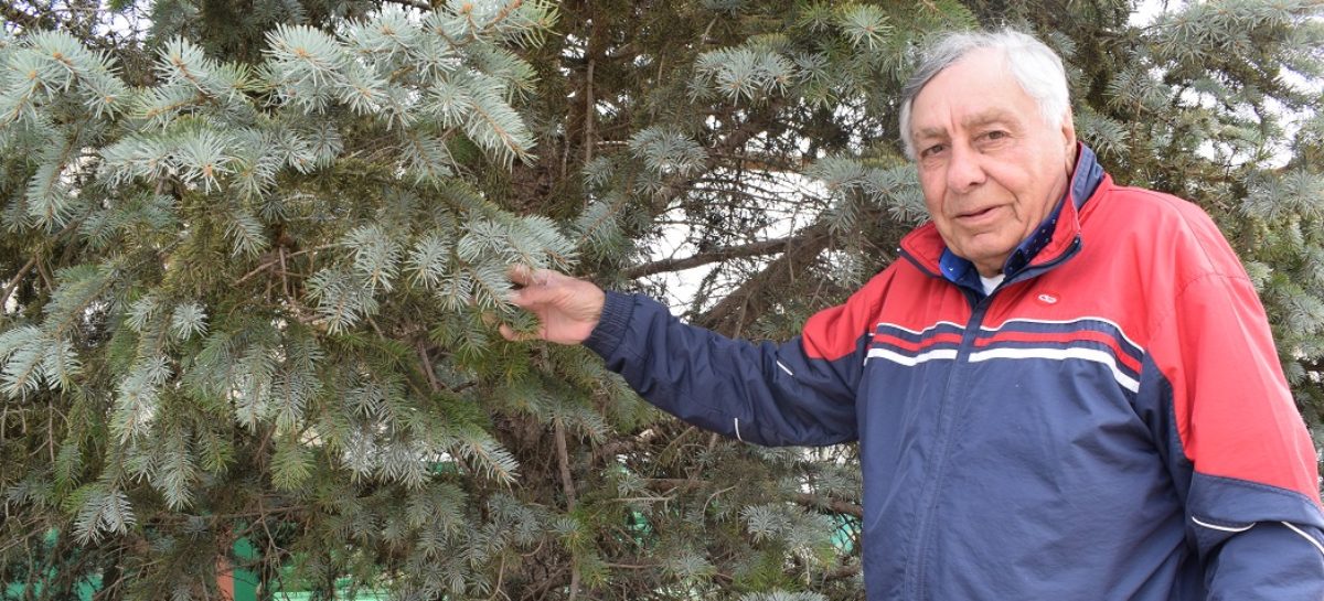 Бригадир из династии хлебопашцев: Николаем Светличным гордится родное село