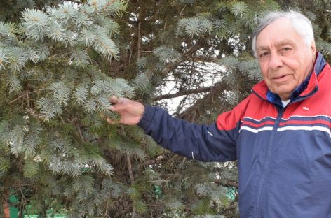 Бригадир из династии хлебопашцев: Николаем Светличным гордится родное село