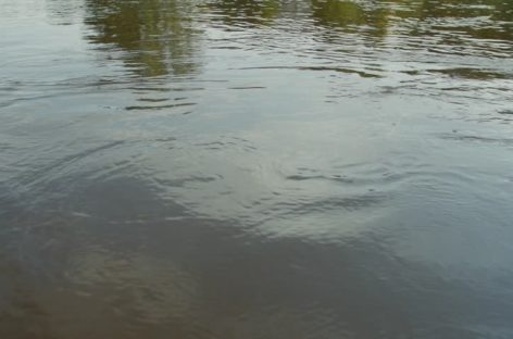 В Сальске, на реке в районе рыбколхоза, ищут мужчину