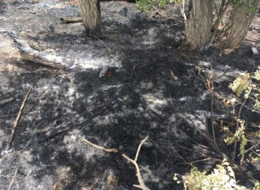 Возгорание на окраине Сальска тушили три пожарных расчёта