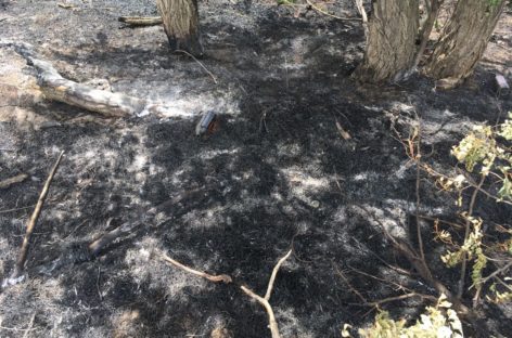 Возгорание на окраине Сальска тушили три пожарных расчёта