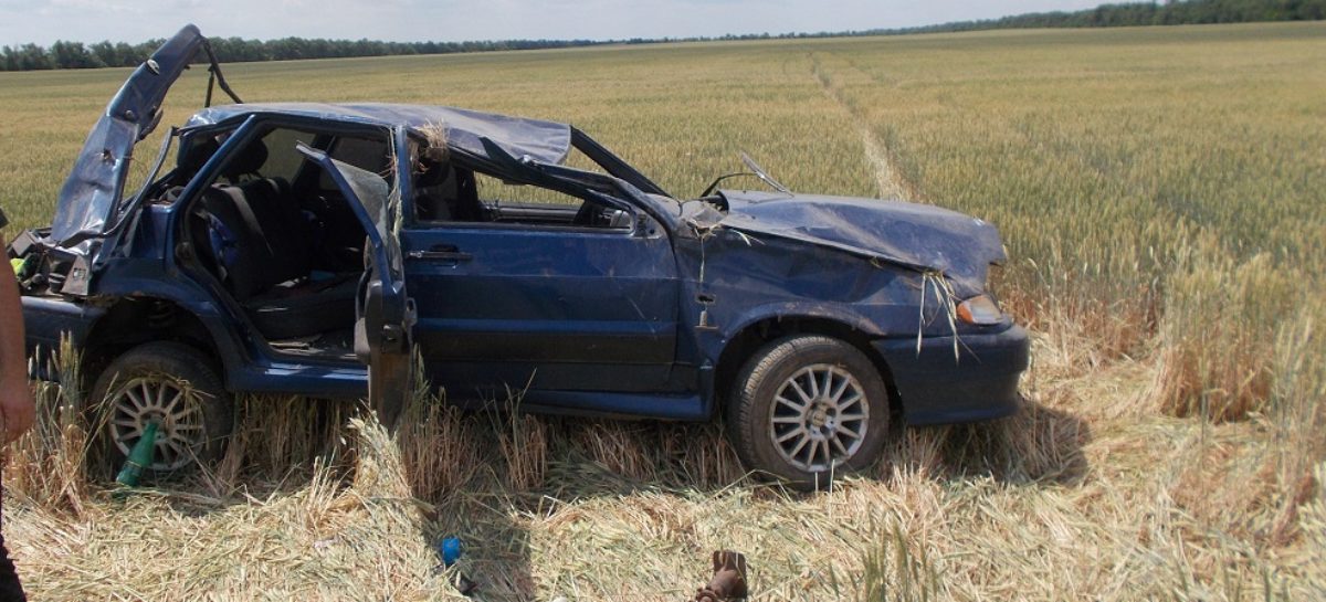 В Сальском районе в аварии погибла женщина