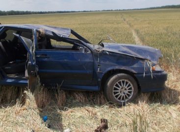 В Сальском районе в аварии погибла женщина