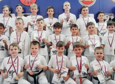 Сальские каратисты преодолели «Ступени мастерства»