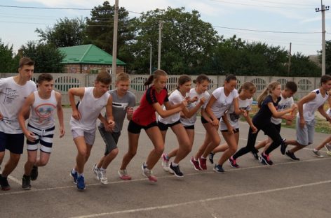 Сальская молодежь примет участие в областном фестивале ГТО