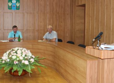 Более 510.000 тонн зерна нового урожая собрали сальские аграрии
