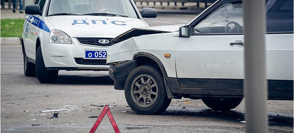 Сбили трех коров и оставили «Луну» без света: какая неделя была на сальских дорогах?