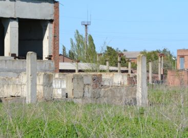 Сальчане продолжают нарушать правила благоустройства и санитарный порядок