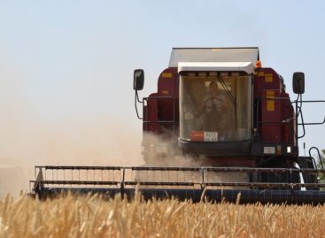 Почти 320 тысяч тонн зерна намолочено хозяйствами всех форм собственности Сальского района