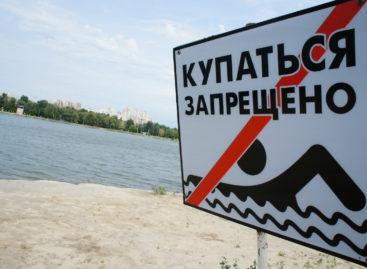 Сальчанам запретили купаться на городском пляже