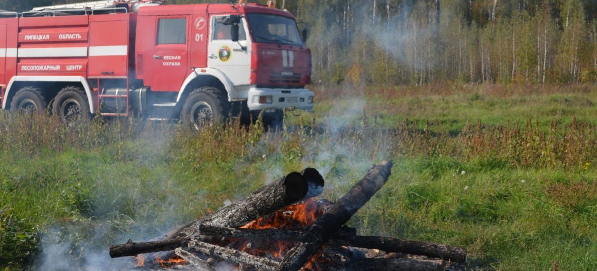В Сальском районе ограничено пребывание граждан в лесах