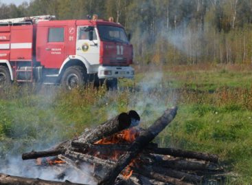 В Сальском районе ограничено пребывание граждан в лесах