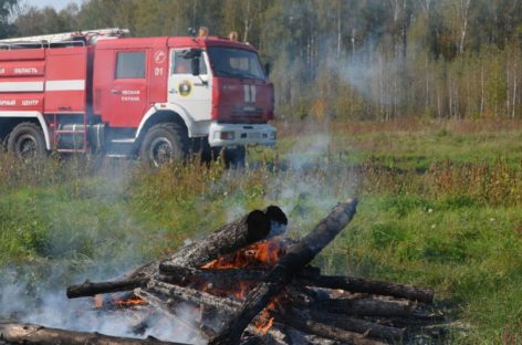 В Сальском районе ограничено пребывание граждан в лесах