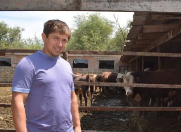 В Сальском районе фермеры получают гранты