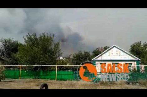 Пожар на улице Трудовой, граничащей с сальским лесхозом, серьёзно напугал жителей