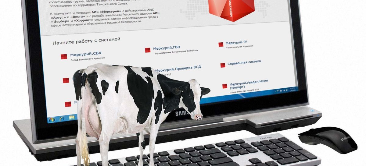 Организации Ростовской области внедряют стандарты электронной ветсертификации