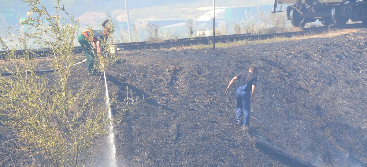 Ново-Сальск задыхается от дыма:  горит сухая трава