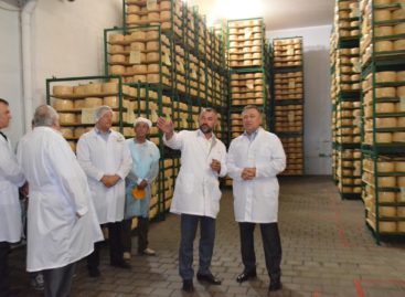 Сыродельный завод в Семикаракорске увеличил свои производственные мощности