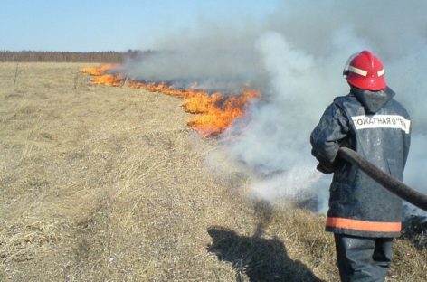 В Сальском районе за три дня сухую траву и мусор тушили 15 раз