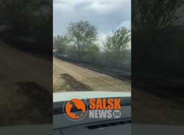 В Сальском районе сгорело пять гектаров сухой травы