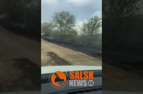 В Сальском районе сгорело пять гектаров сухой травы