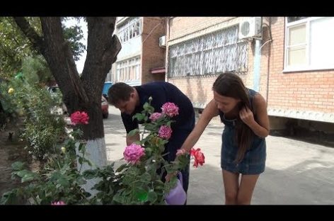 «Я люблю этот город»: как подготовились жильцы дома по улице Фрунзе, 35
