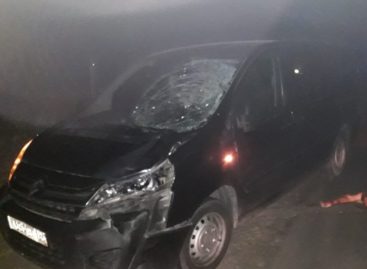 Сальчанин погиб под колёсами иномарки