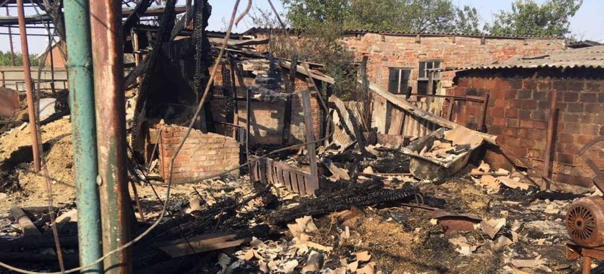 На окраине Сальска в огне погибли животные