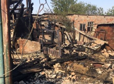 На окраине Сальска в огне погибли животные