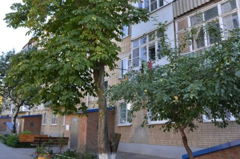 Жильцы дома по улице Невского, 1а, избавились от текущих в подвал нечистот