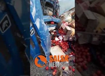 В Сальском районе в аварии погибли два водителя