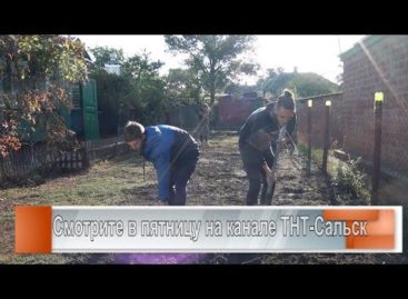Волонтёры спешат на помощь