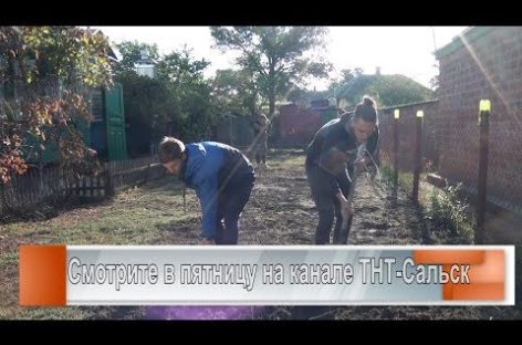 Волонтёры спешат на помощь