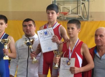 Борцы Сальского района выступили в Азове