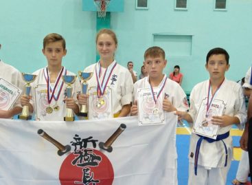 Каратисты из Сальска сразились в Новочеркасске