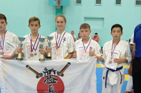 Каратисты из Сальска сразились в Новочеркасске