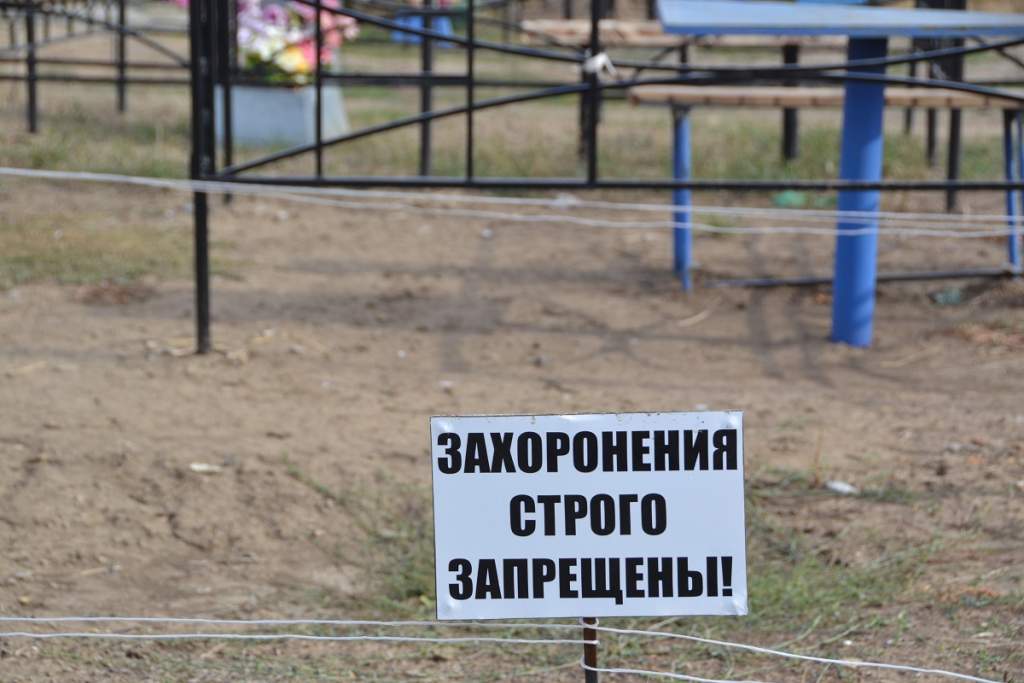 Кладбище сальск. Кладбище сальск