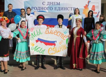 Флешмоб, концерт: как в Сальске отметили День народного единства