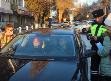 Сотрудники ГИБДД дарили водителям билеты в цирк